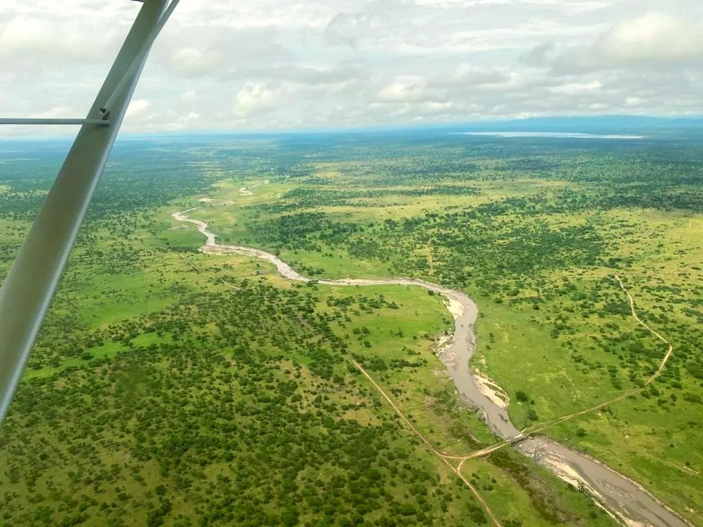 A winding river through green savannah, aerial view from a ZRP flight